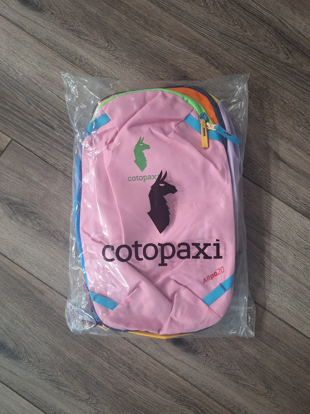 Cotopaxi Kids Pink Allpa 20L Backpack